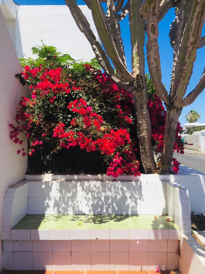 Apartamentos Maribel, Puerto del Carmen – Precios ...