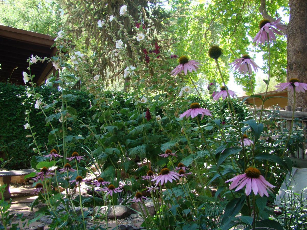 The Historic Taos Inn — photo 22