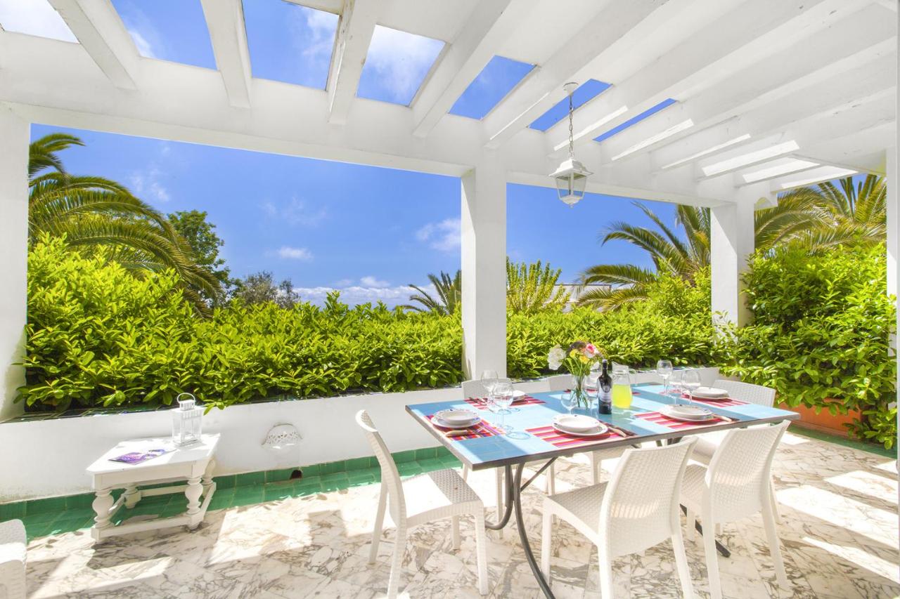 AMORE RENTALS - Villa Claudia photo