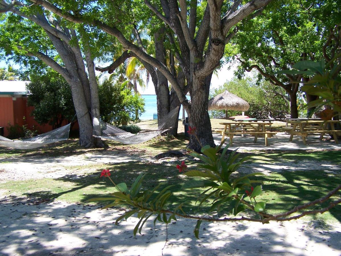 Rock Reef Resort — photo 7