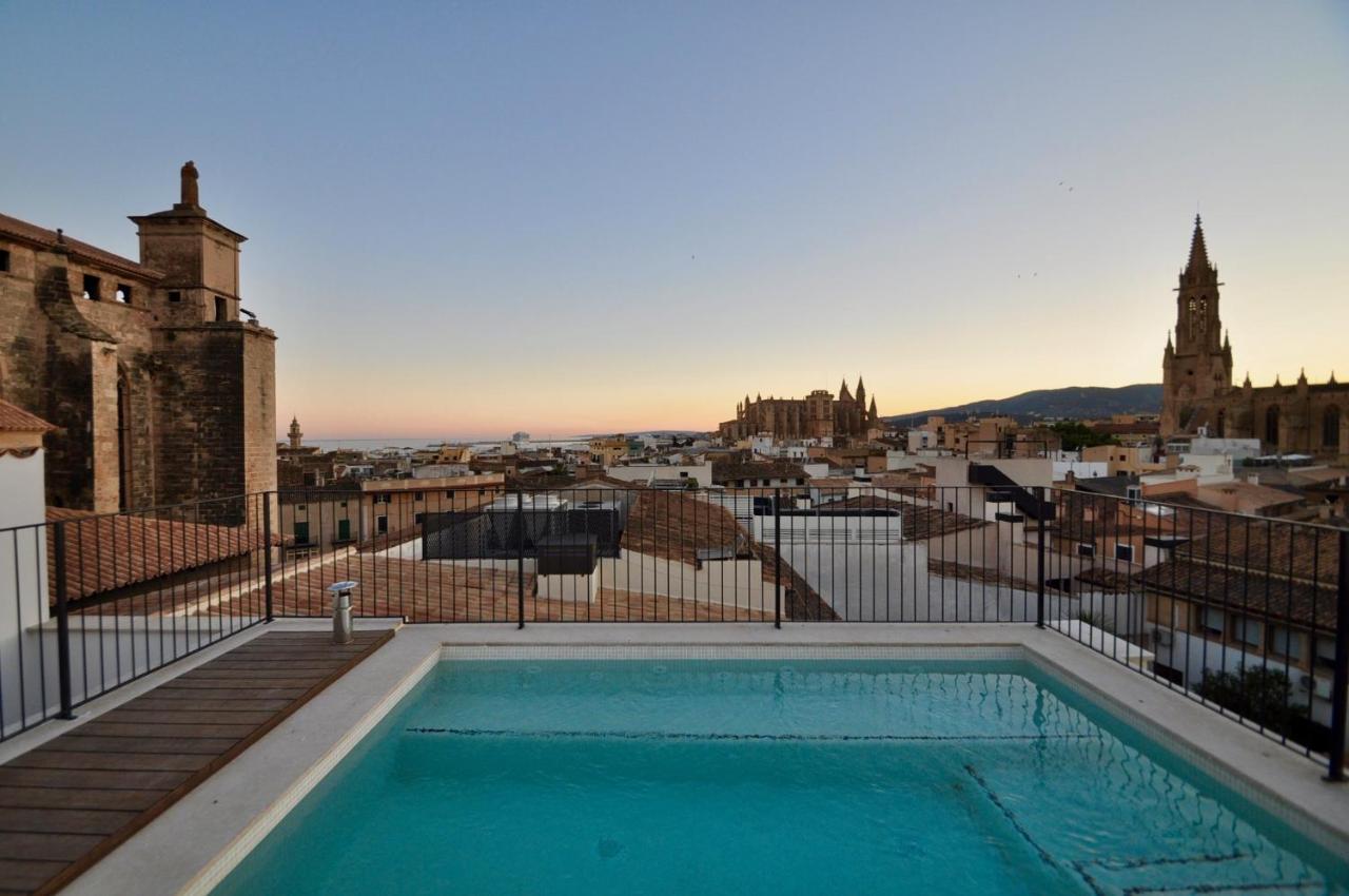 Rooftop swimming pool: Hotel Basilica