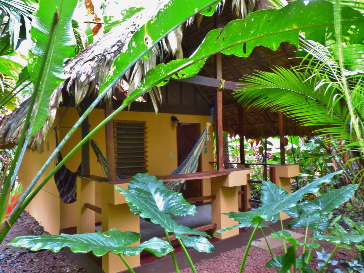 Caribe Town Bungalows photo
