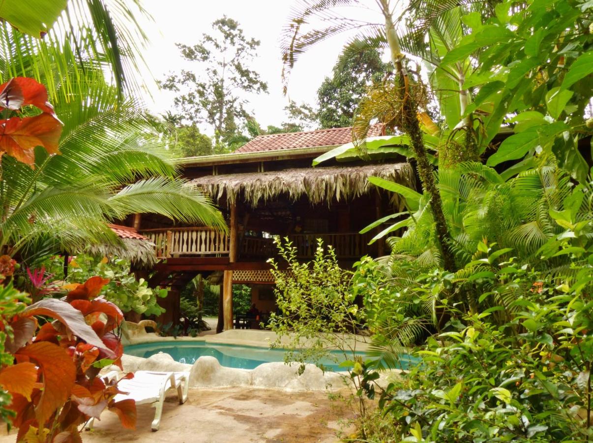 Caribe Town Bungalows photo