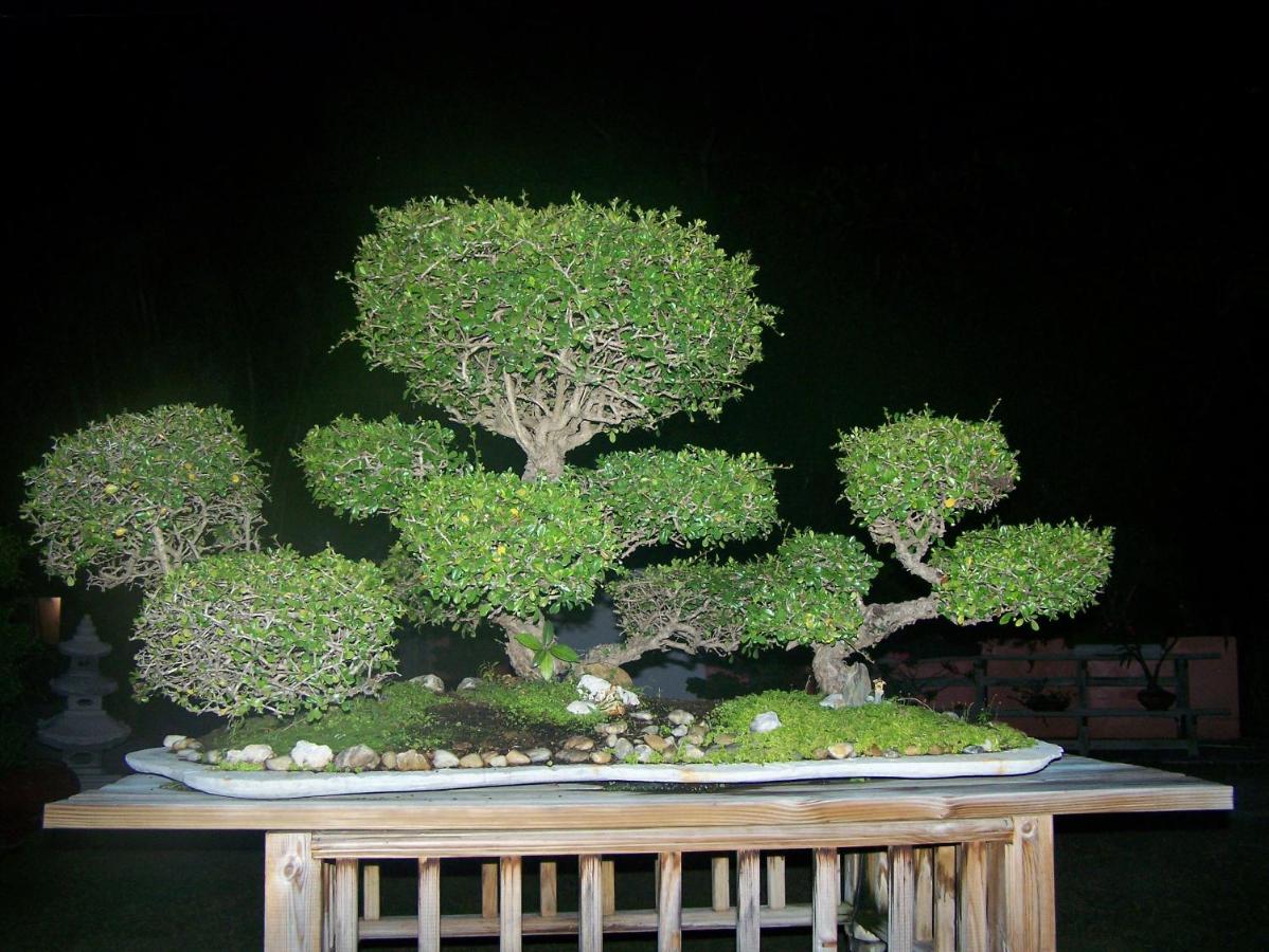 Rock Reef Resort — photo 6