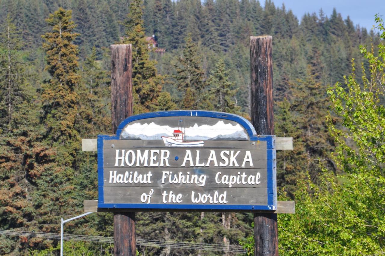 Homerhome — photo 21