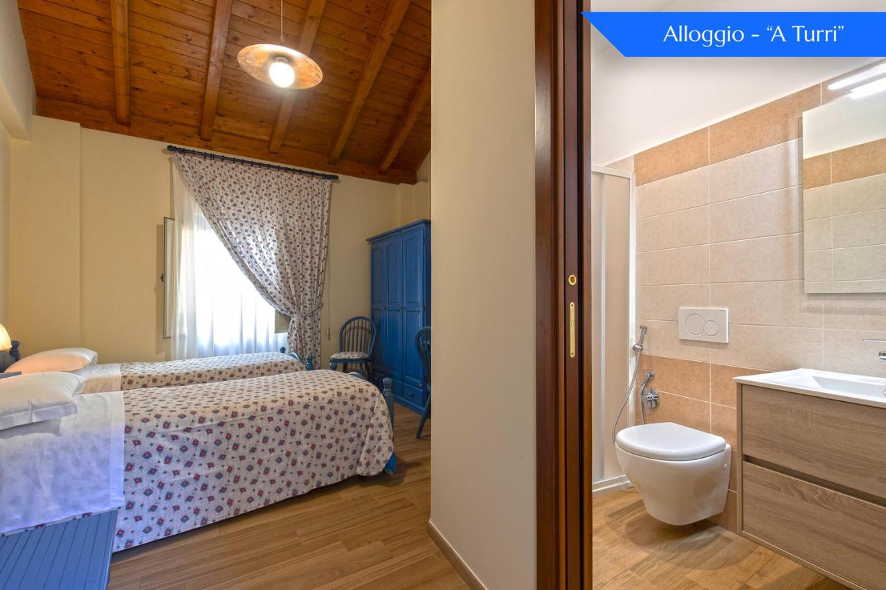 B&B Loreto photo