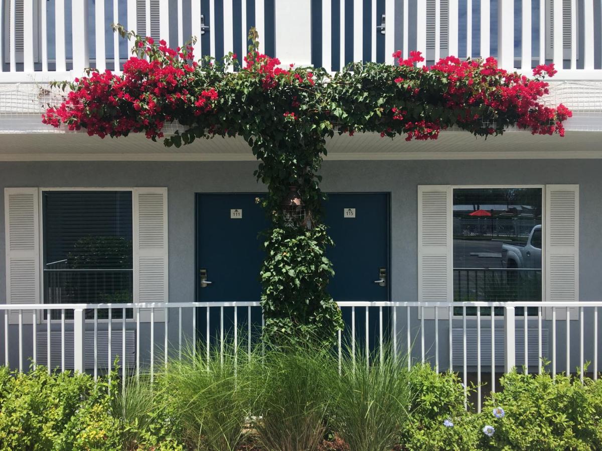 Quality Inn St. Augustine Historic District — photo 19