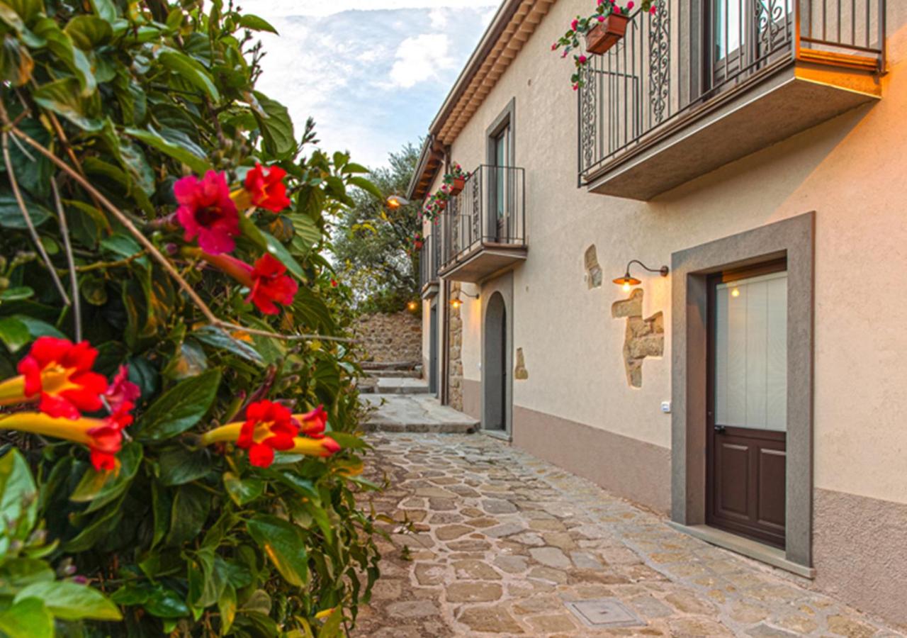 B&B Loreto photo