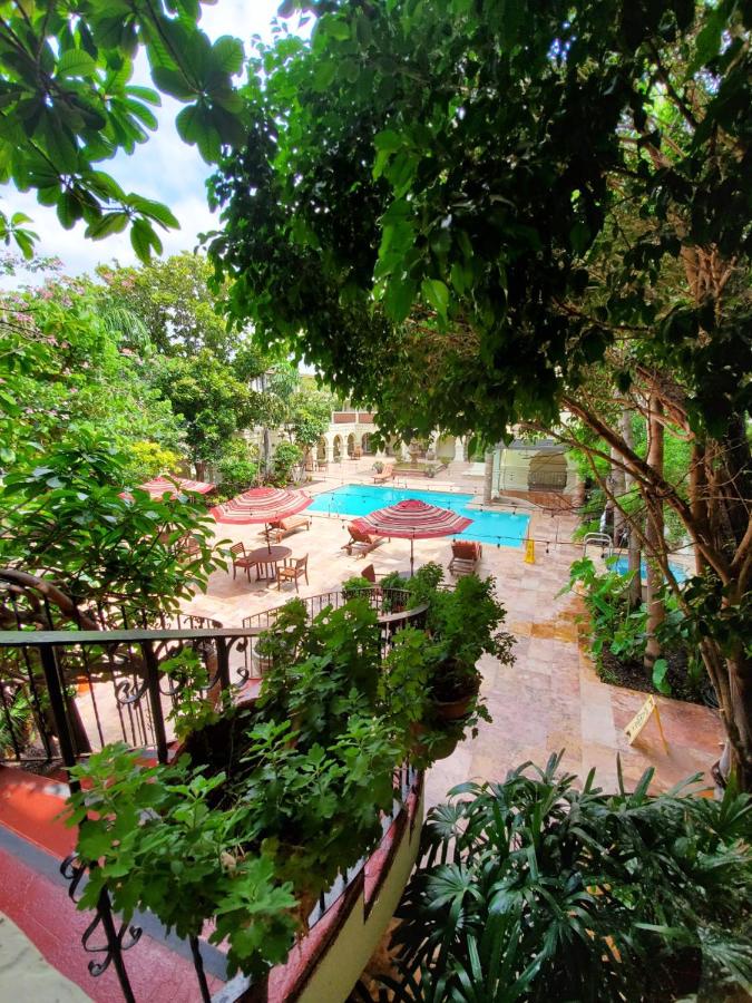 Posada Del Carmen — photo 23
