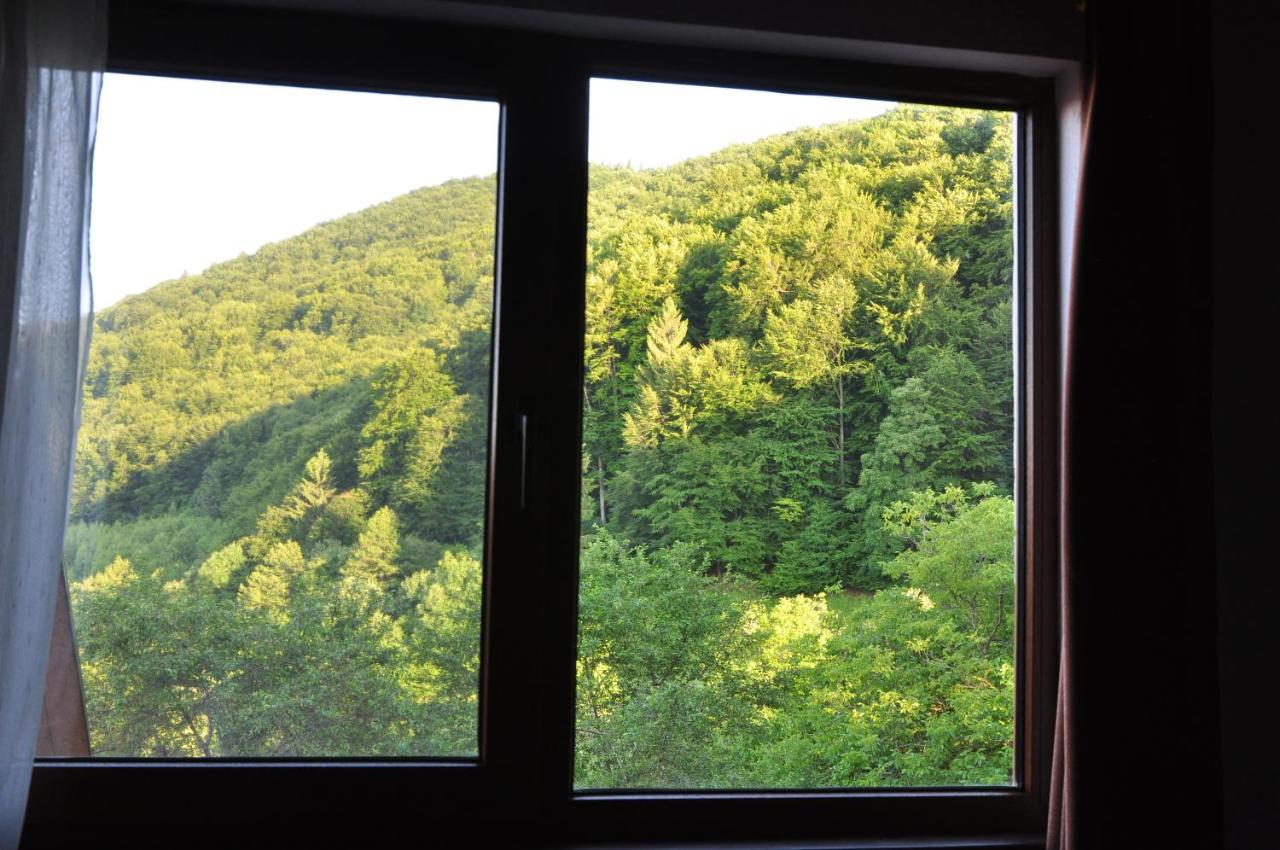 Trout Cottage Bran Updated 2021 Prices