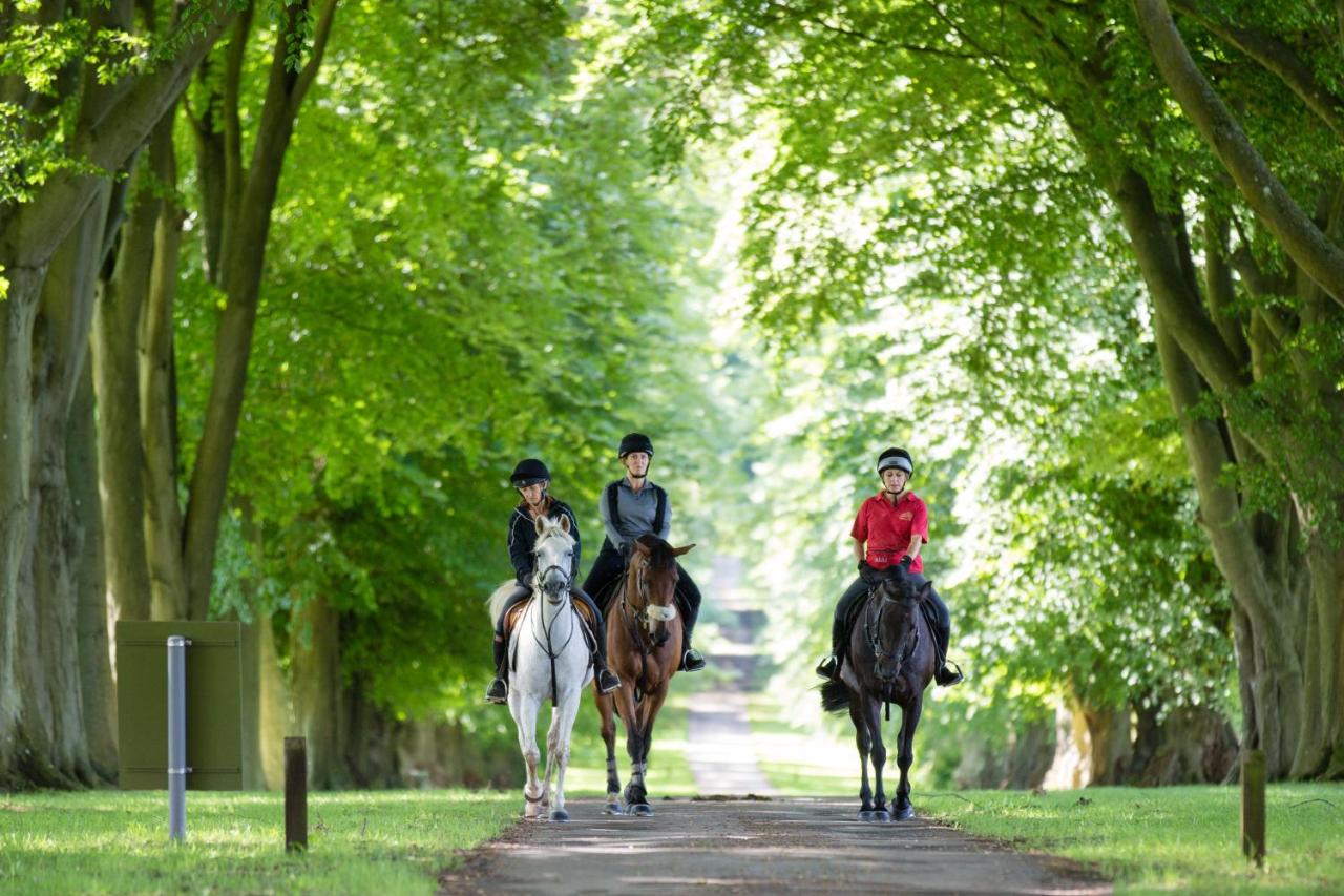 Banner Street advertising horseback riding