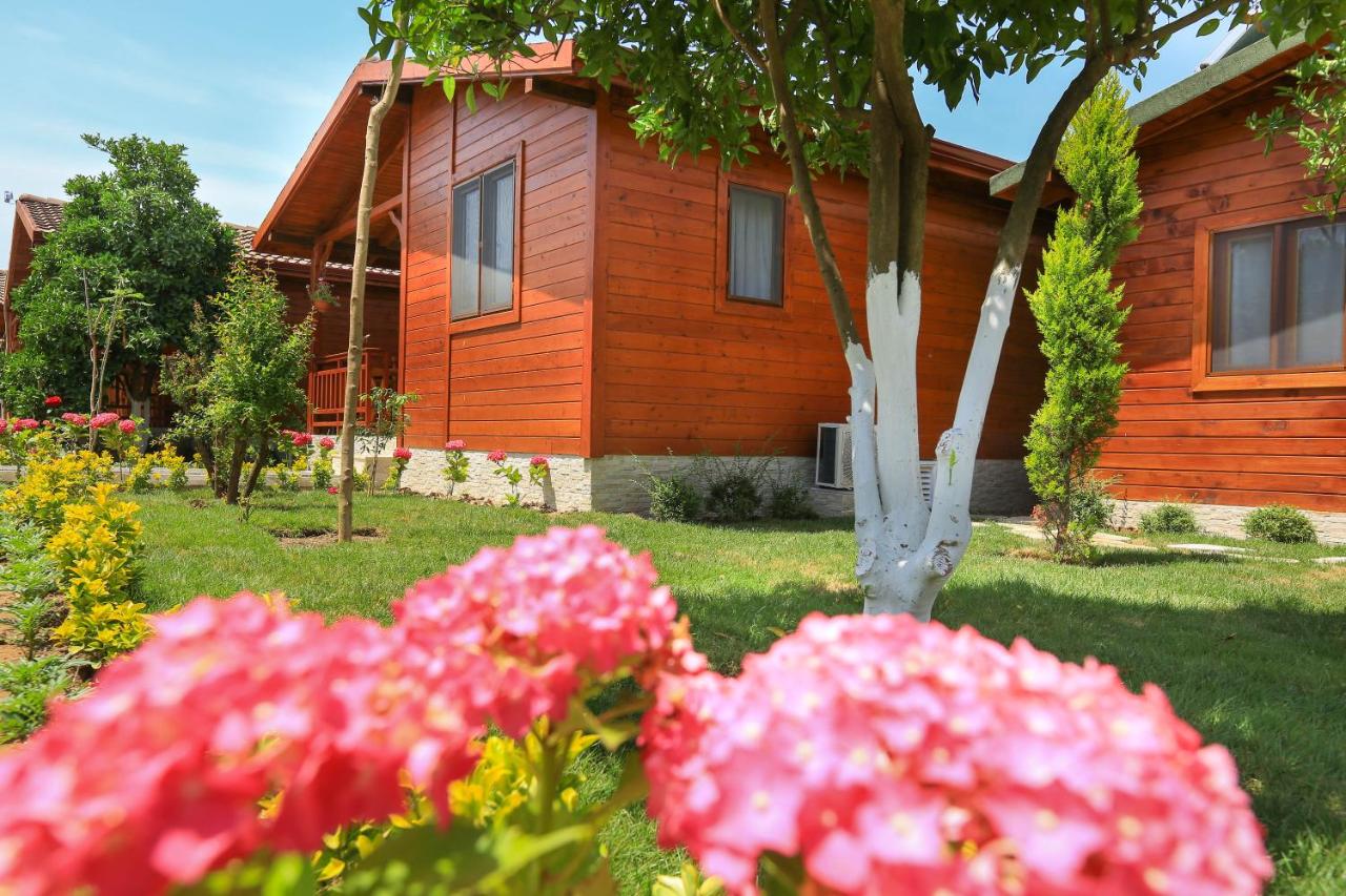 Image: Merry Bungalow & Tent