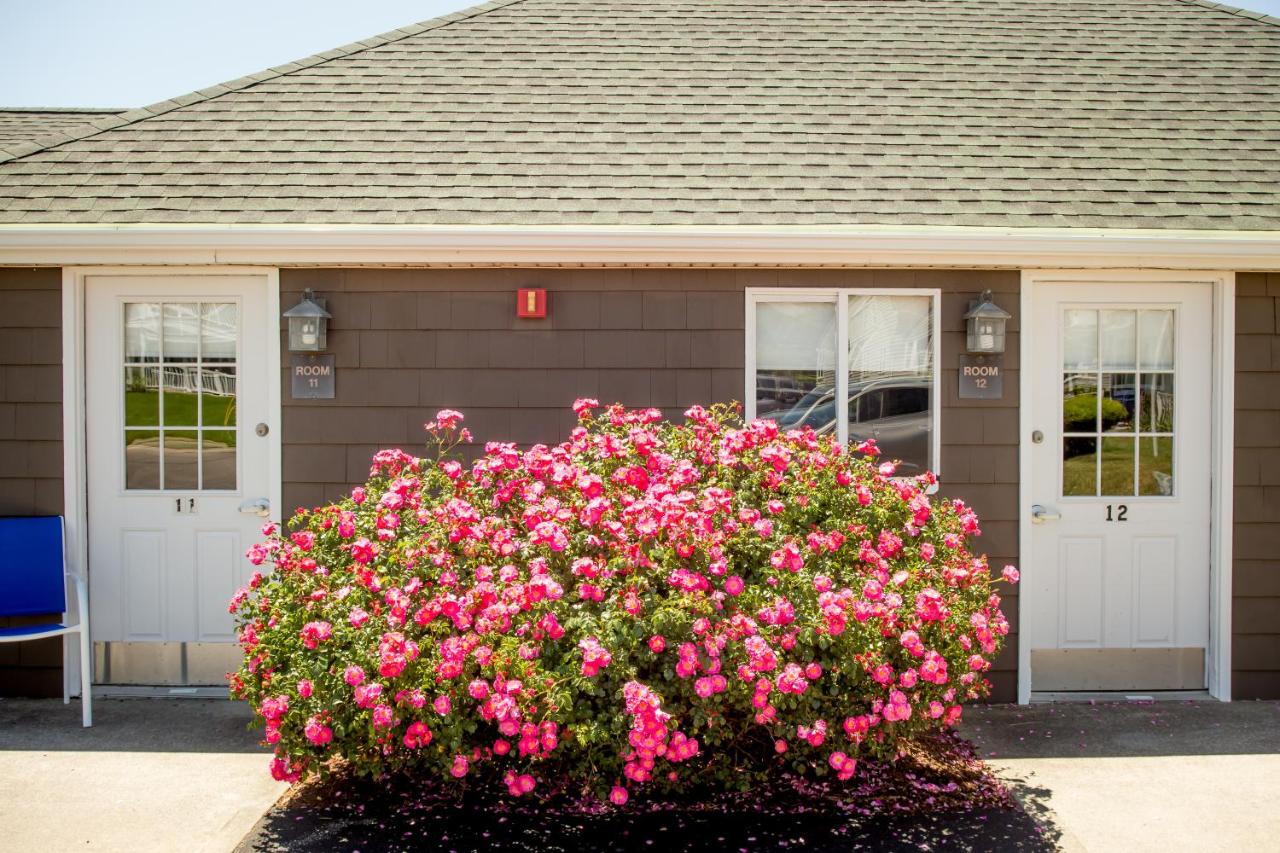 The Shore House — photo 19