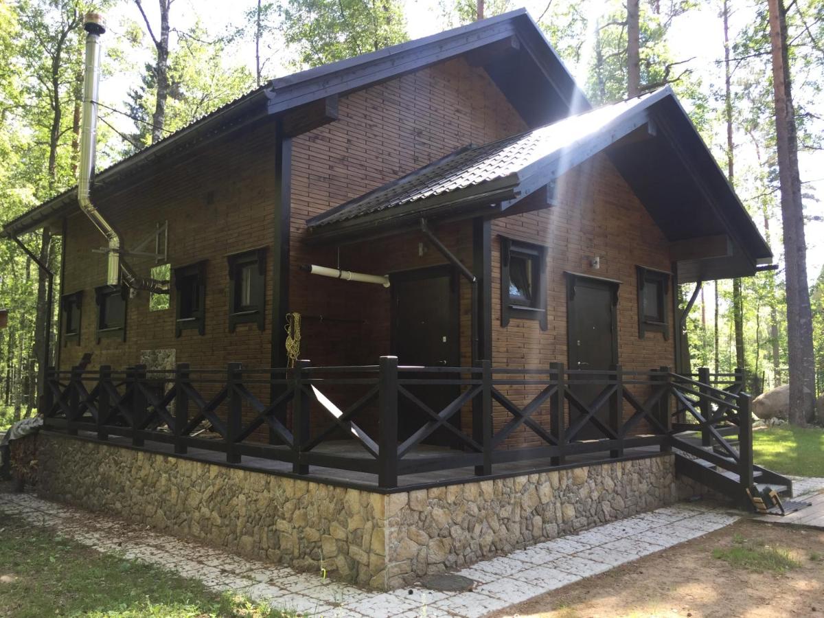 Недорогие дачи около реки ока. Деревня городец селигер. Углич дом на волге. Турбаза волга волга волгоград. Дача на волге.