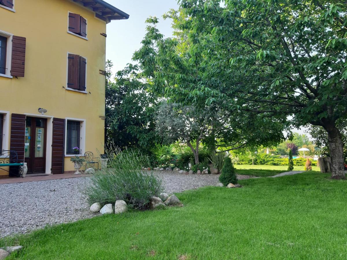 Agriturismo Trebis photo
