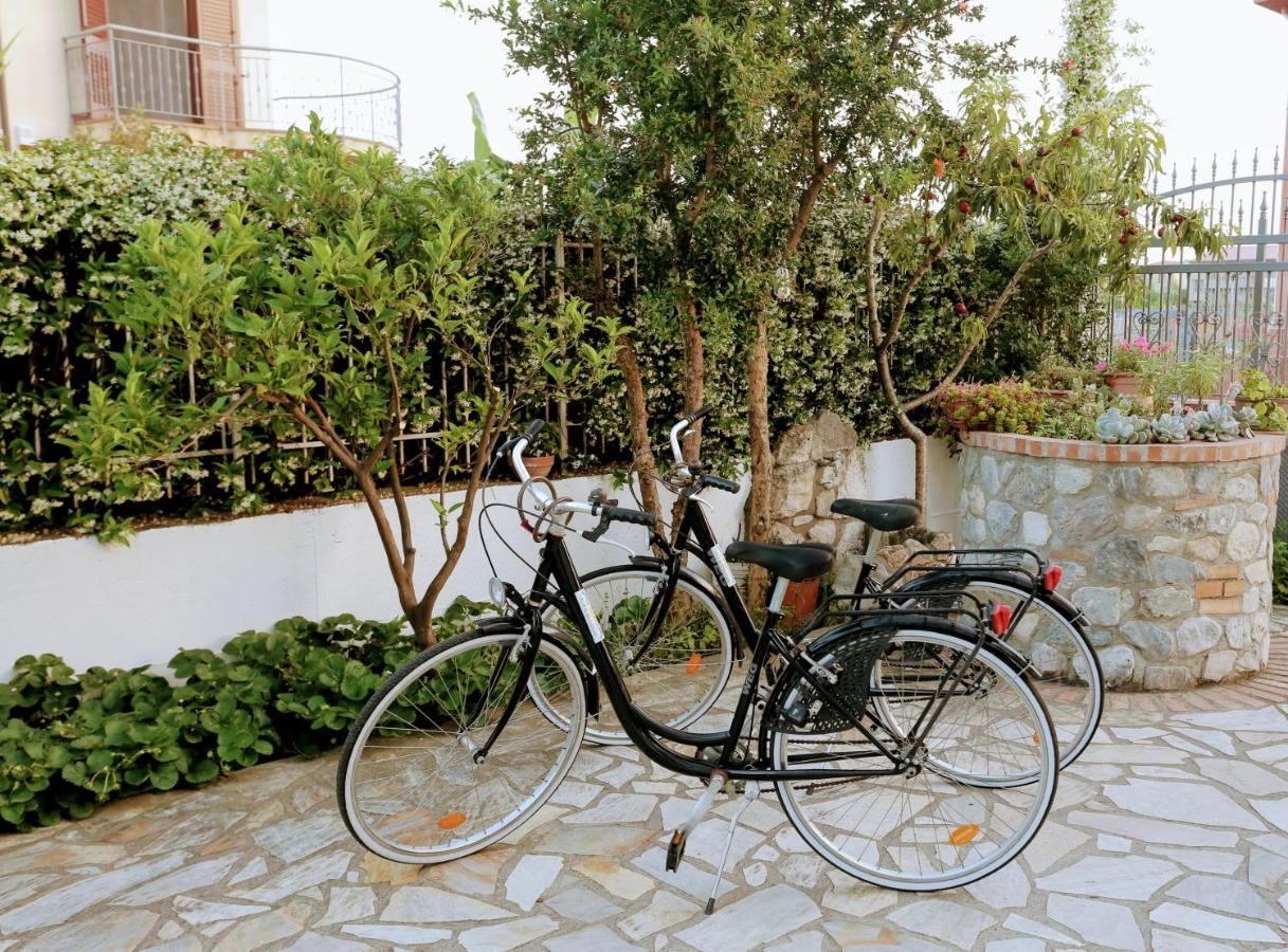Zama Bed&Breakfast photo