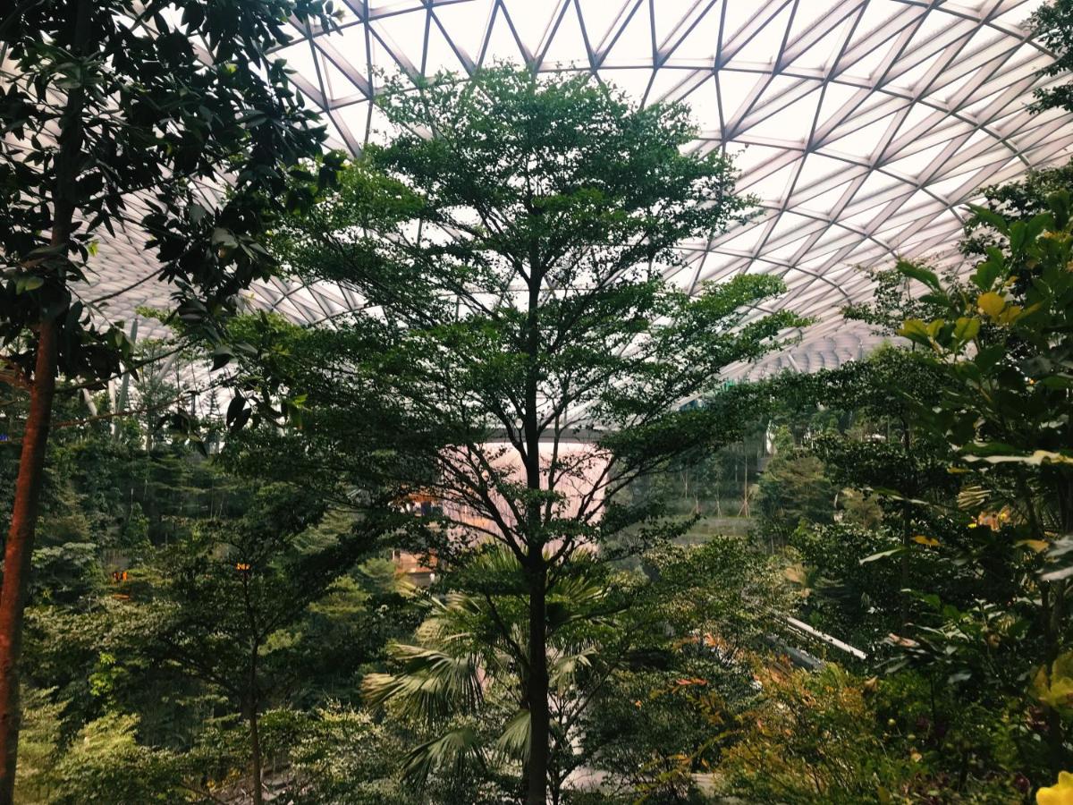 YOTELAIR Singapore Changi Airport Landside - 4