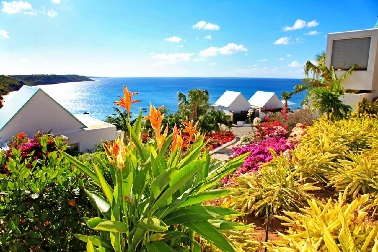 CeBlue Villas photo