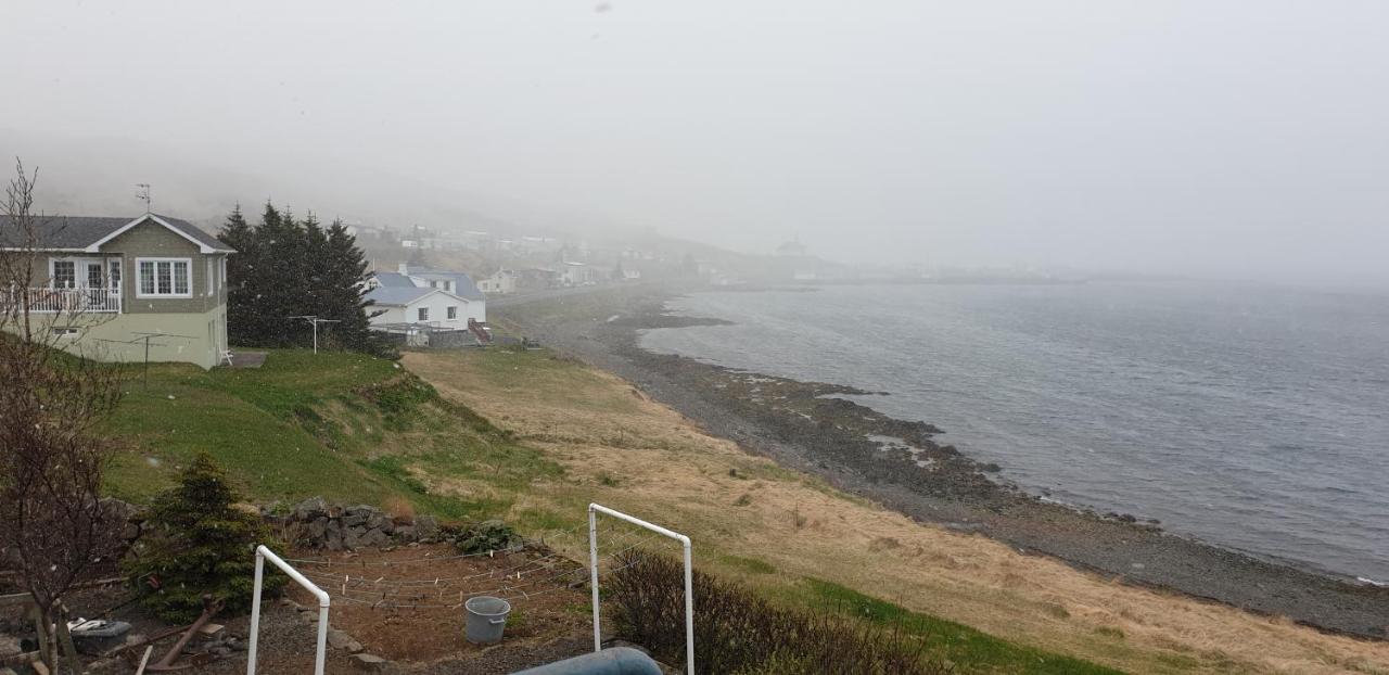 Beach: Beautiful house just 50 m from the sea