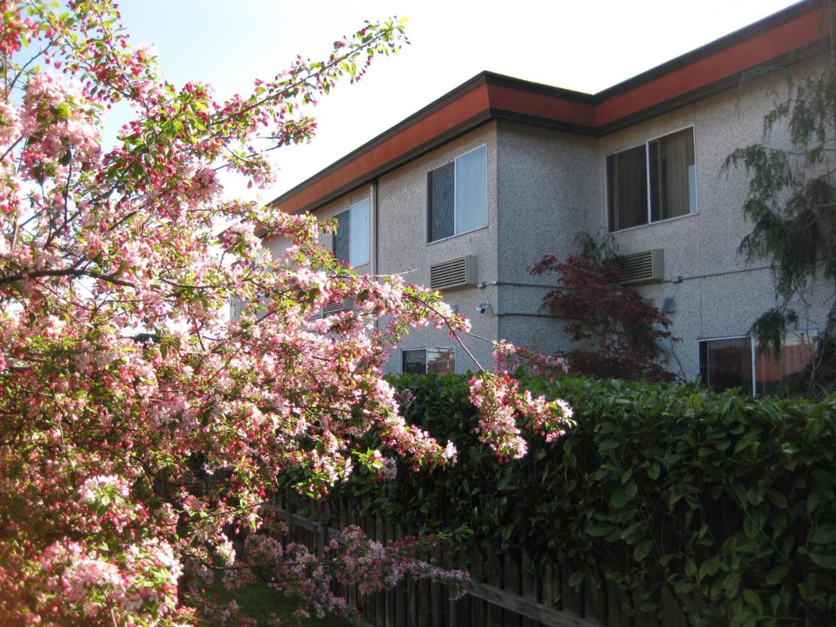 Acorn Motel — photo 10
