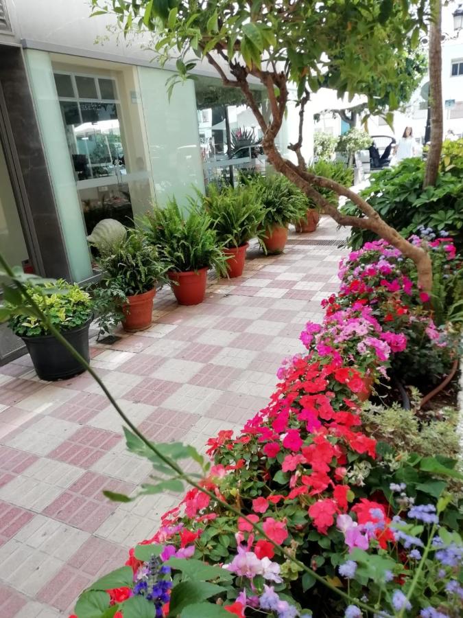 Hotel Avenida 31, Marbella – Precios actualizados 2022