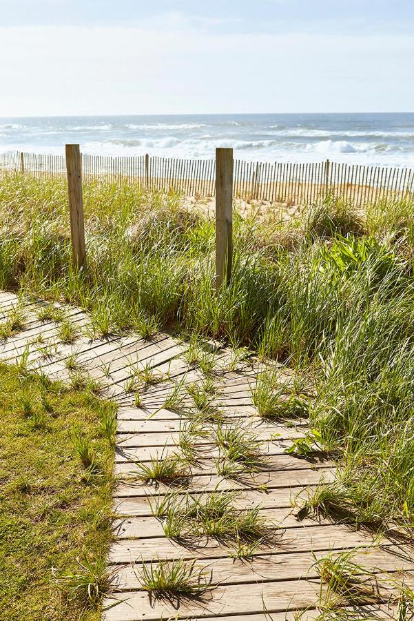 Marram — photo 24