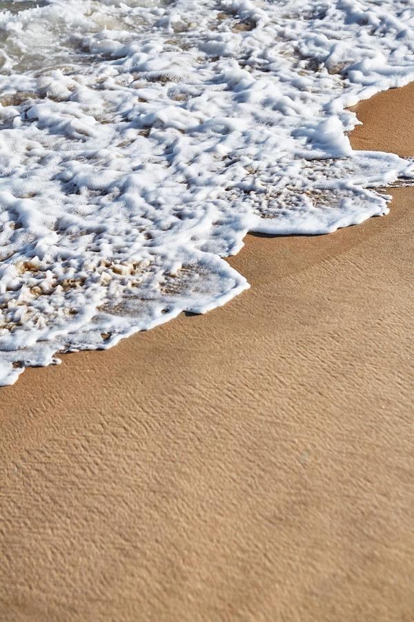 Marram — photo 22
