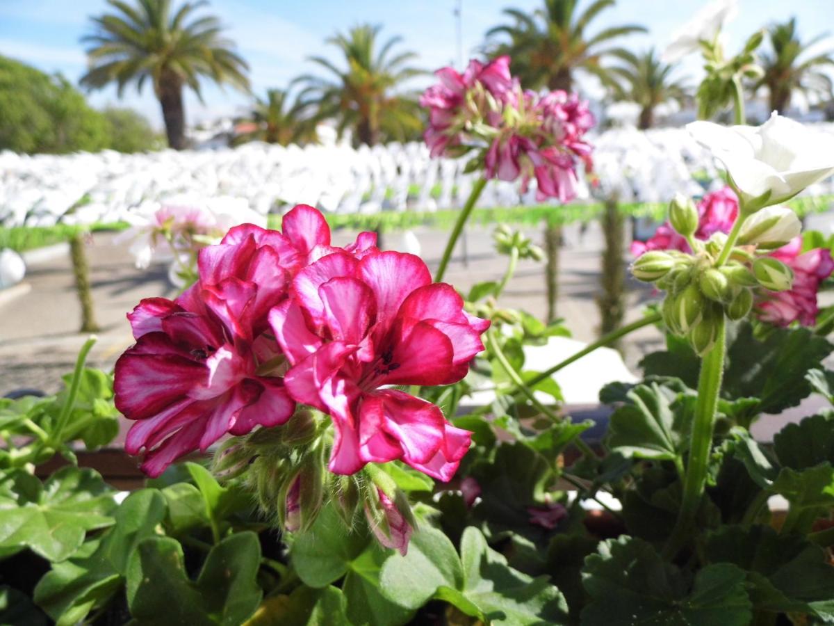 Bea's Bed & Breakfast - 2