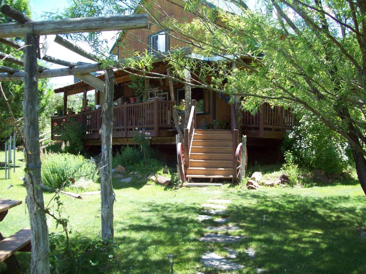 Buffalo Bungalow — photo 6