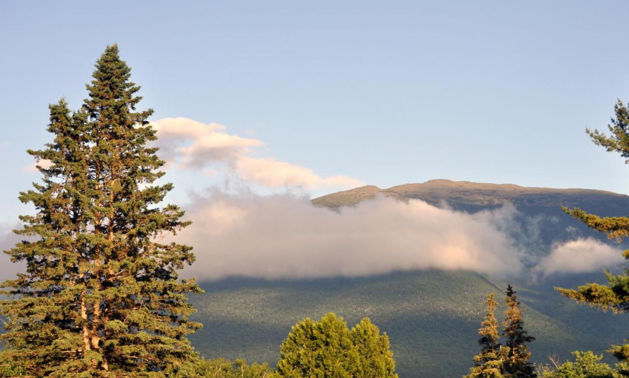 Mountain View Inn — photo 9