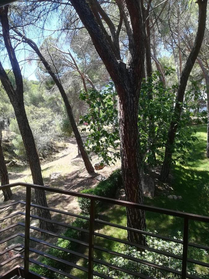 EL MIRADOR DE BACHA, San Martín de Valdeiglesias – Precios ...