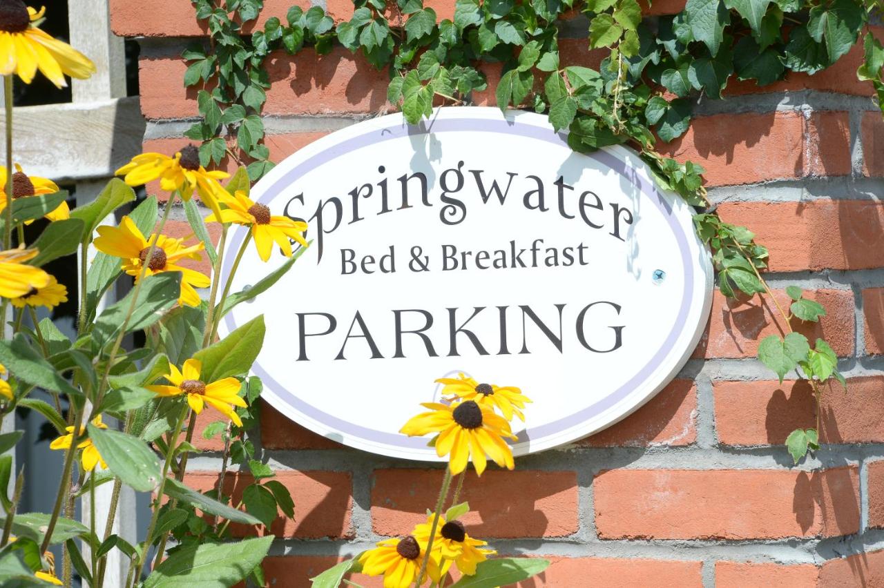 The Springwater Bed and Breakfast — photo 8
