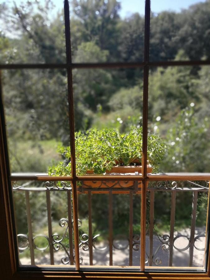 Sensaciones, Carrocera – Updated 2022 Prices