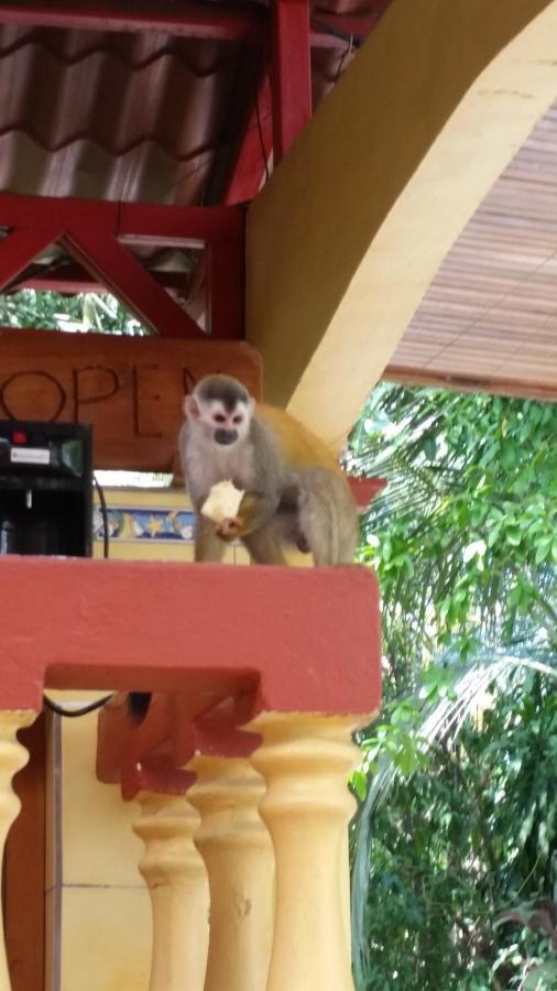 Hotel Tres Banderas photo