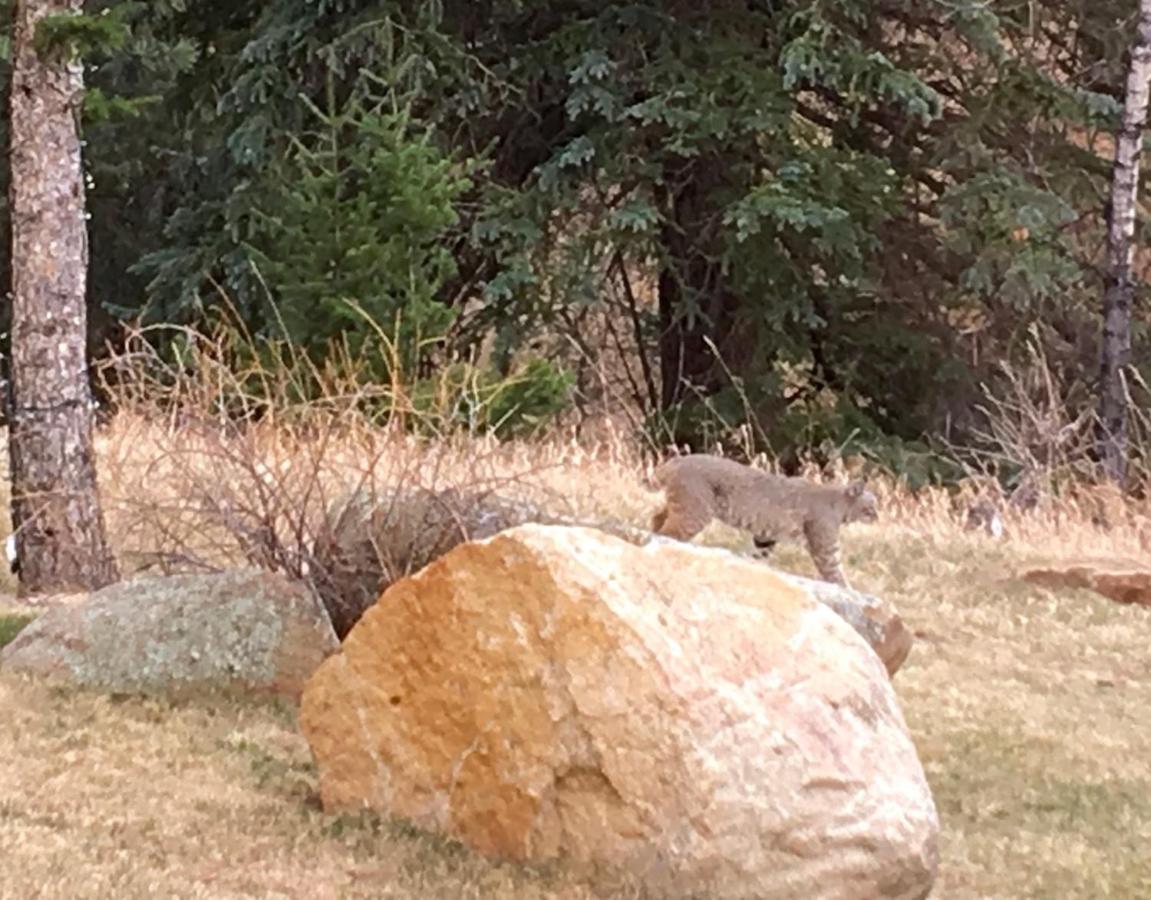 Riversong Inn Retreat — photo 9