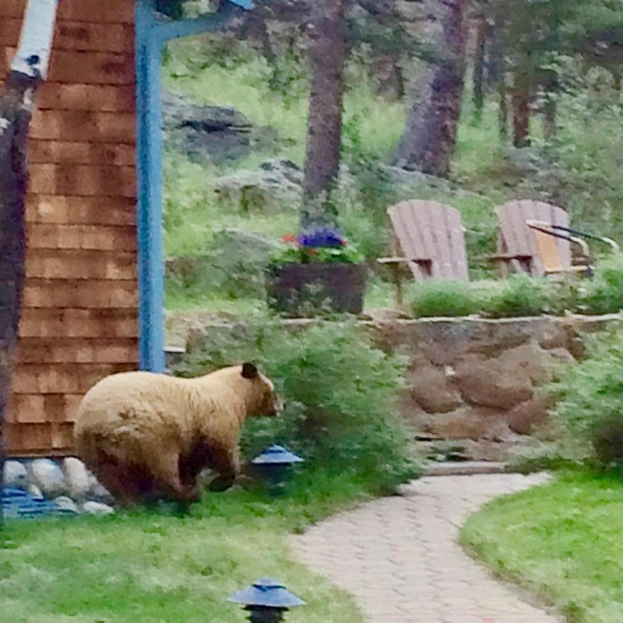 Riversong Inn Retreat — photo 10