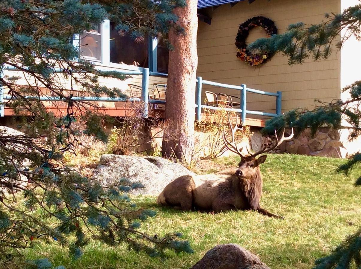 Riversong Inn Retreat — photo 16