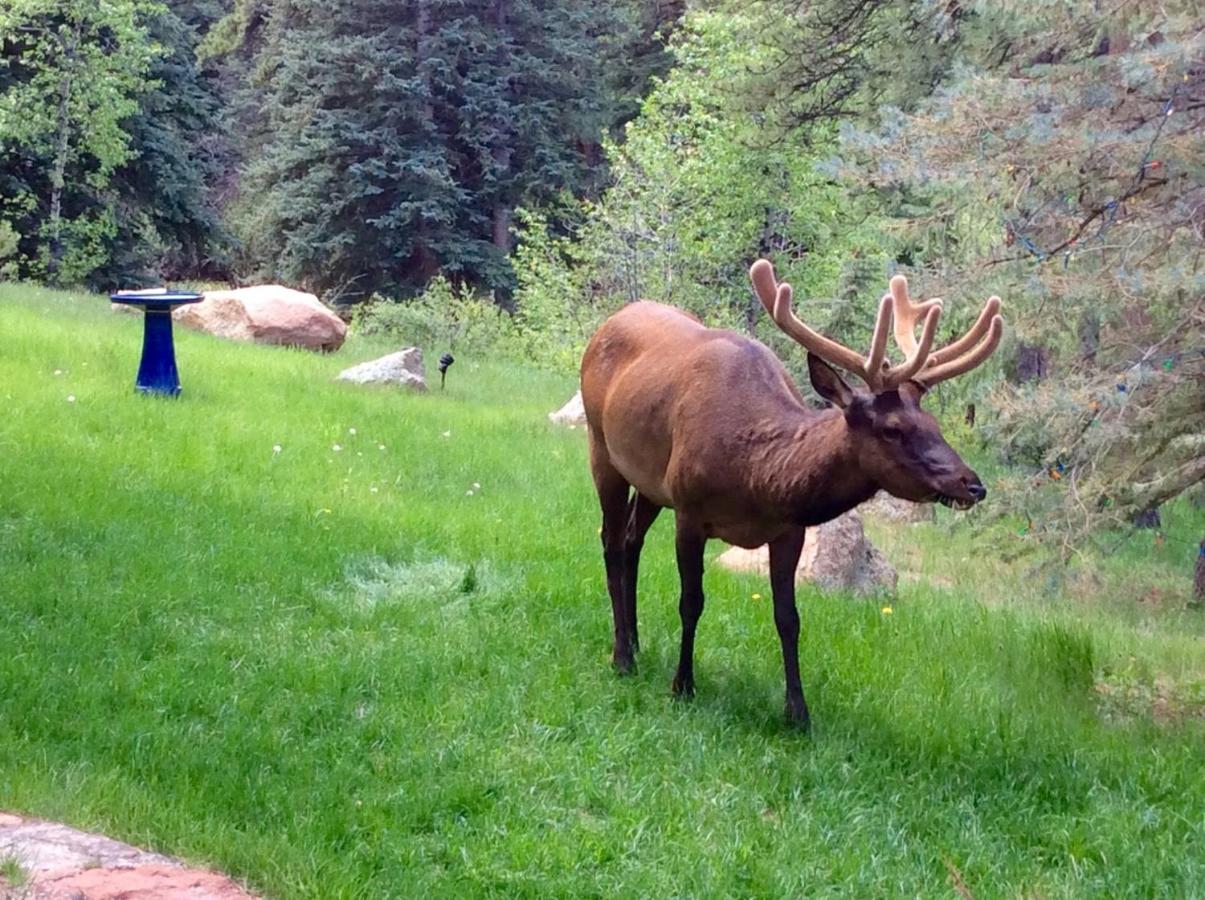 Riversong Inn Retreat — photo 18