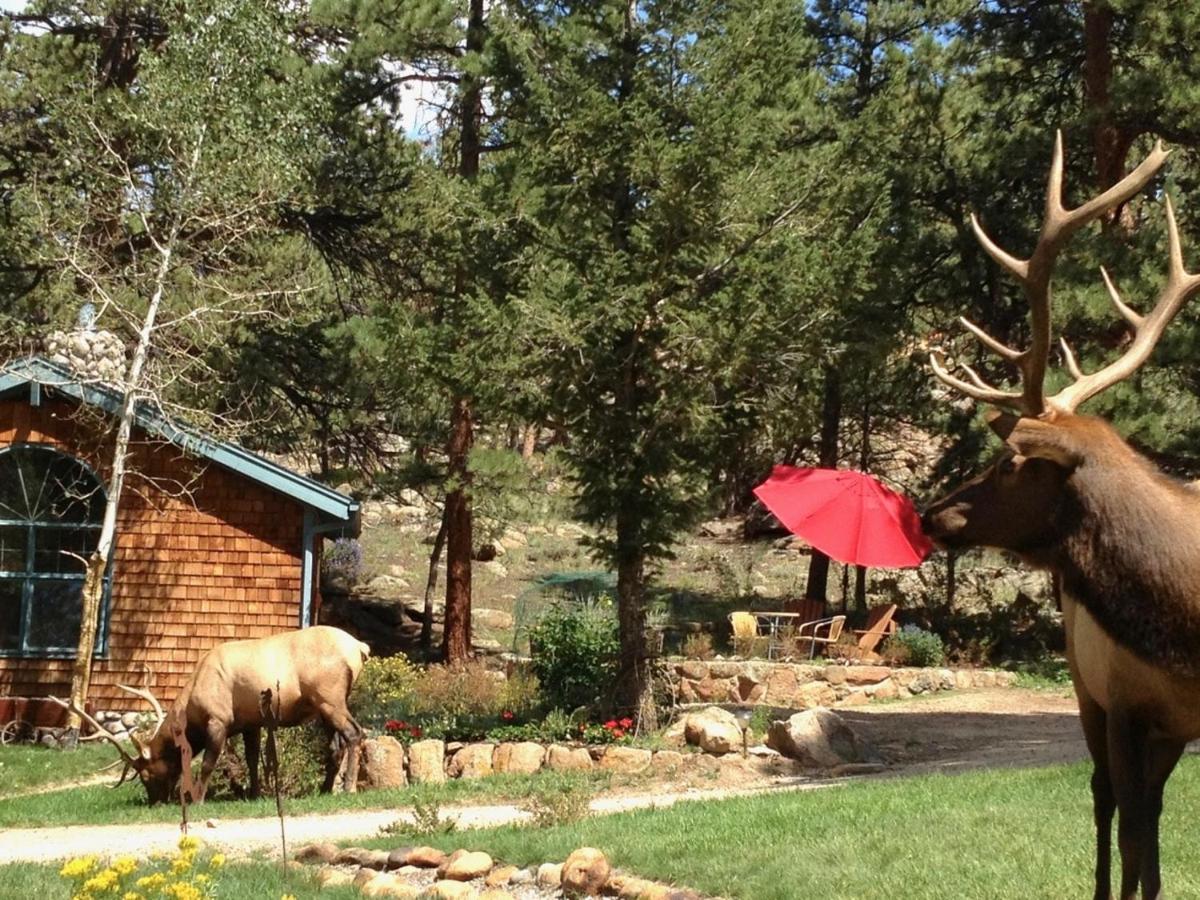 Riversong Inn Retreat — photo 23