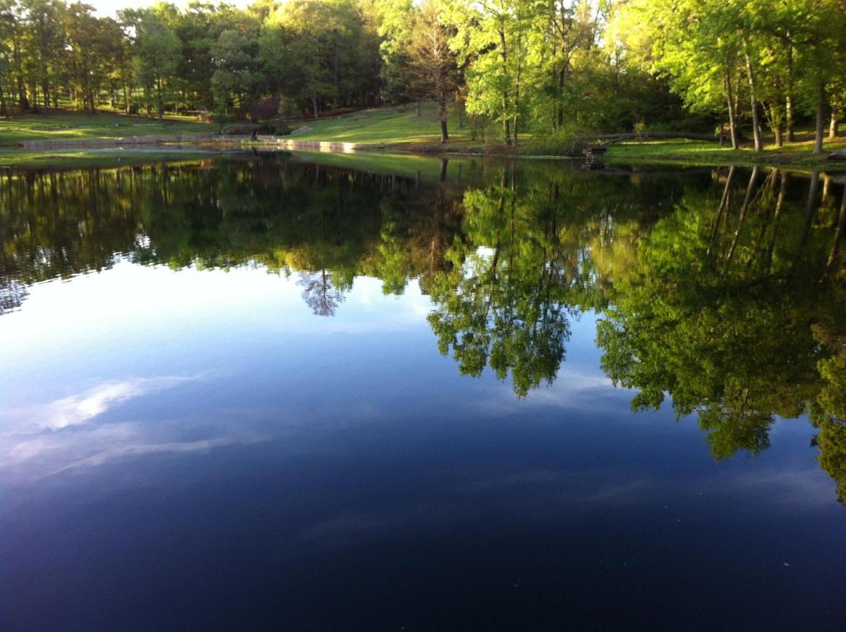 Dogwood Springs Lodgings — photo 13