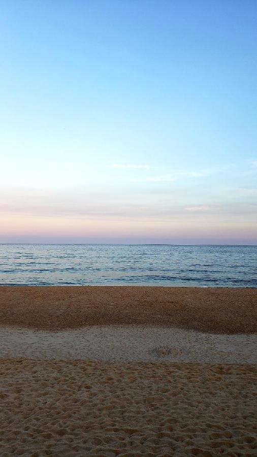 Marram — photo 15
