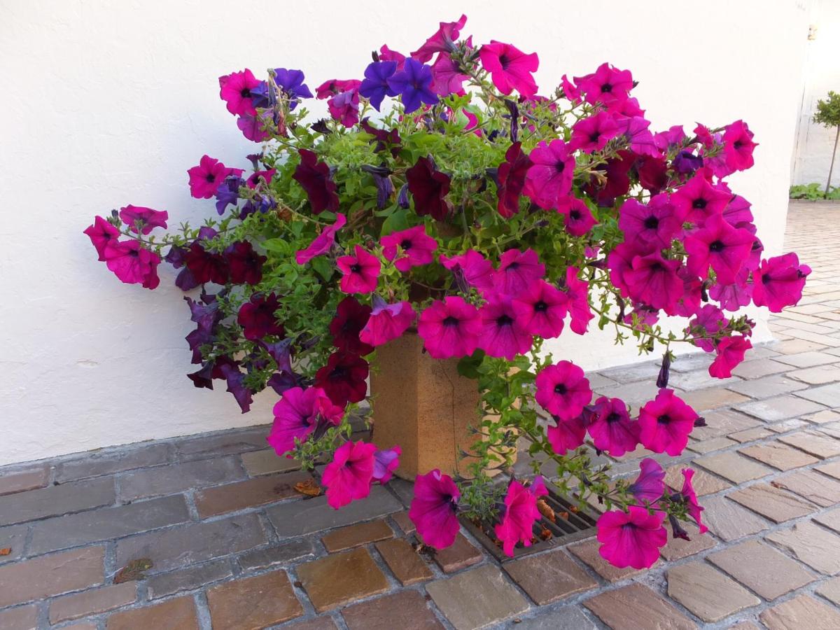 Langley Bank Guest House, Ayr