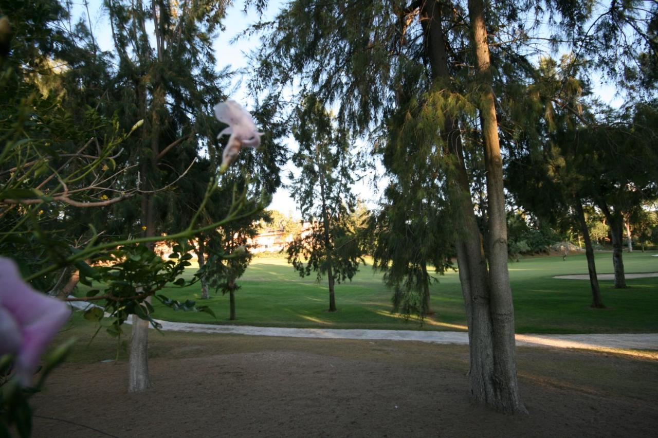 Greenlife Village, Marbella – Bijgewerkte prijzen 2022