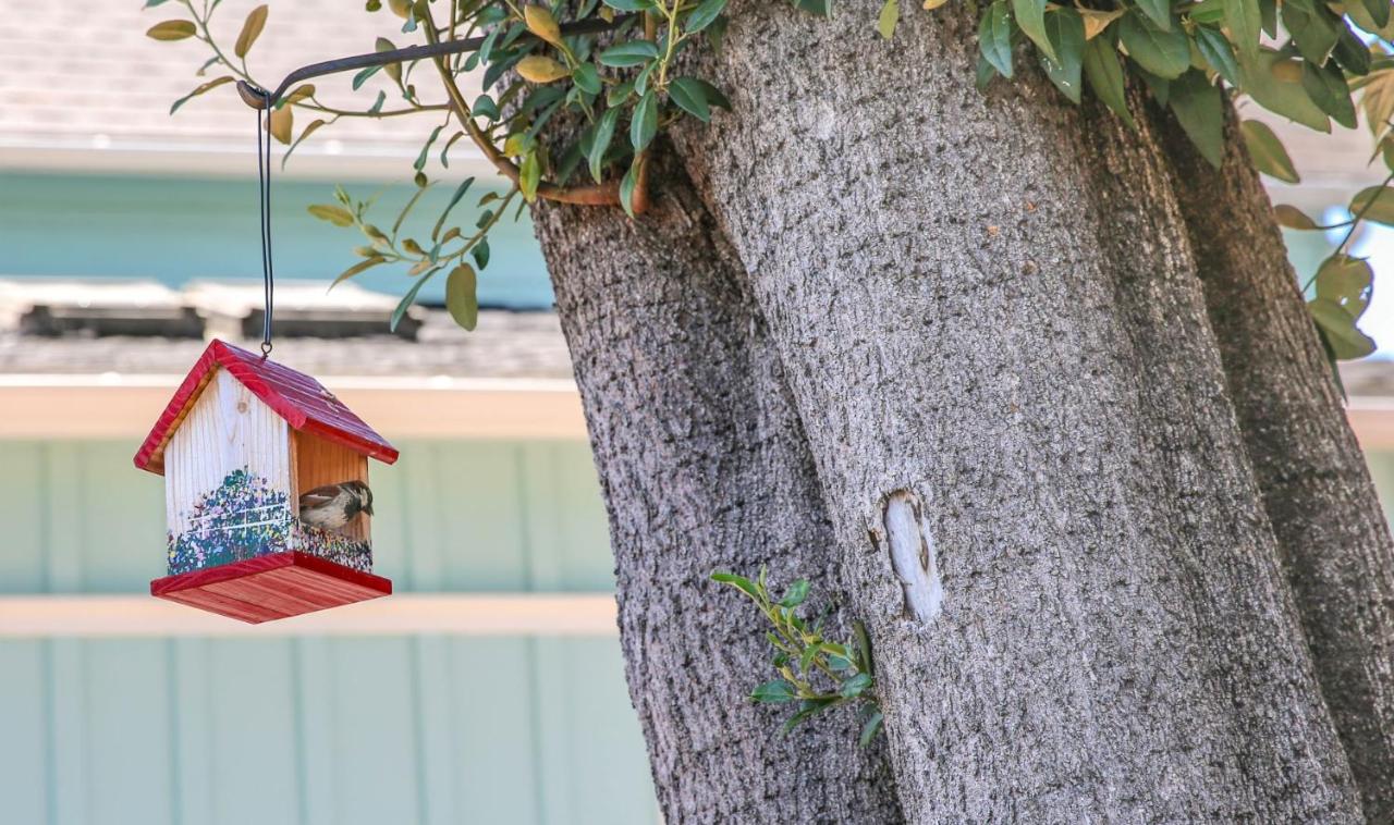 Bluebird Inn — photo 23