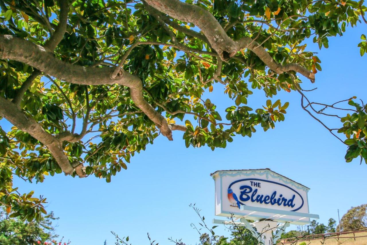 Bluebird Inn — photo 1