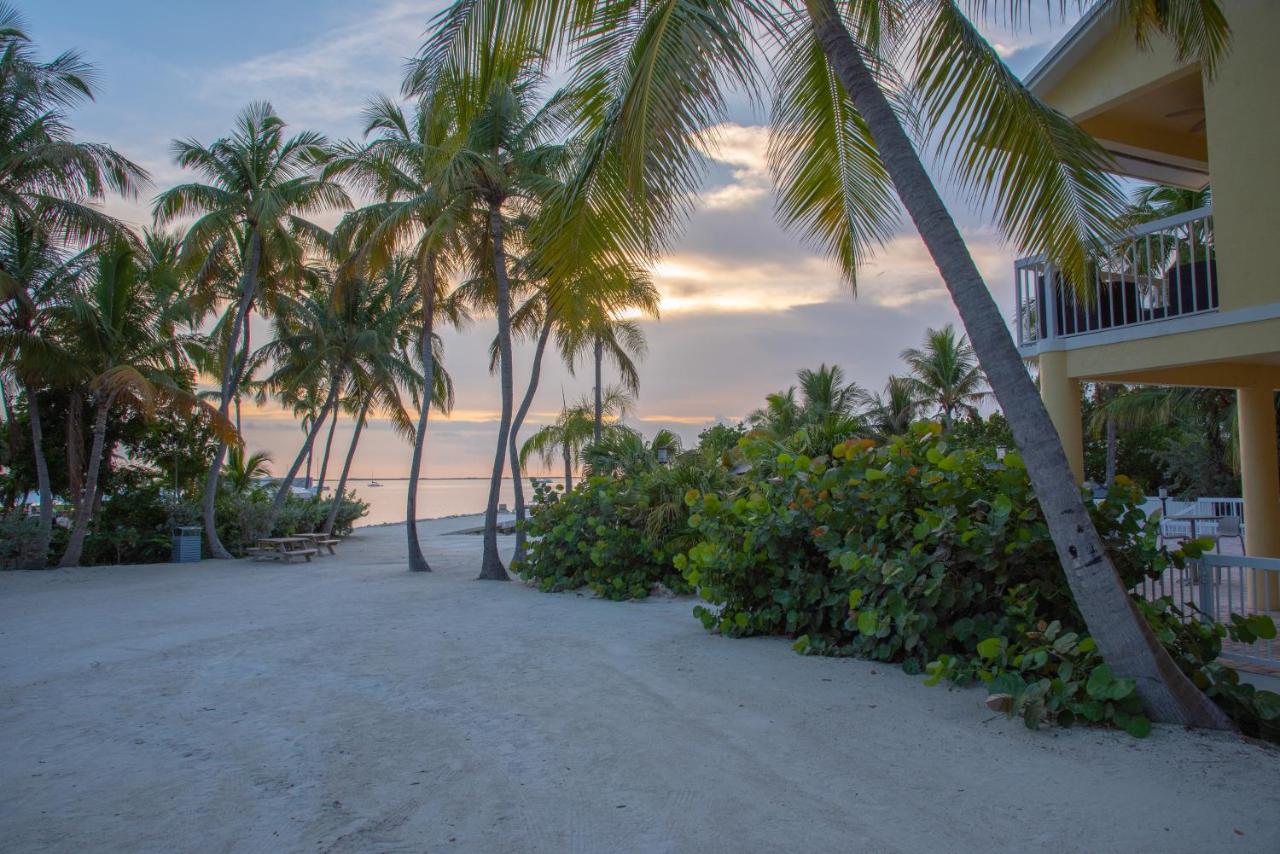 Hotel, plaża: Bayside Inn Key Largo