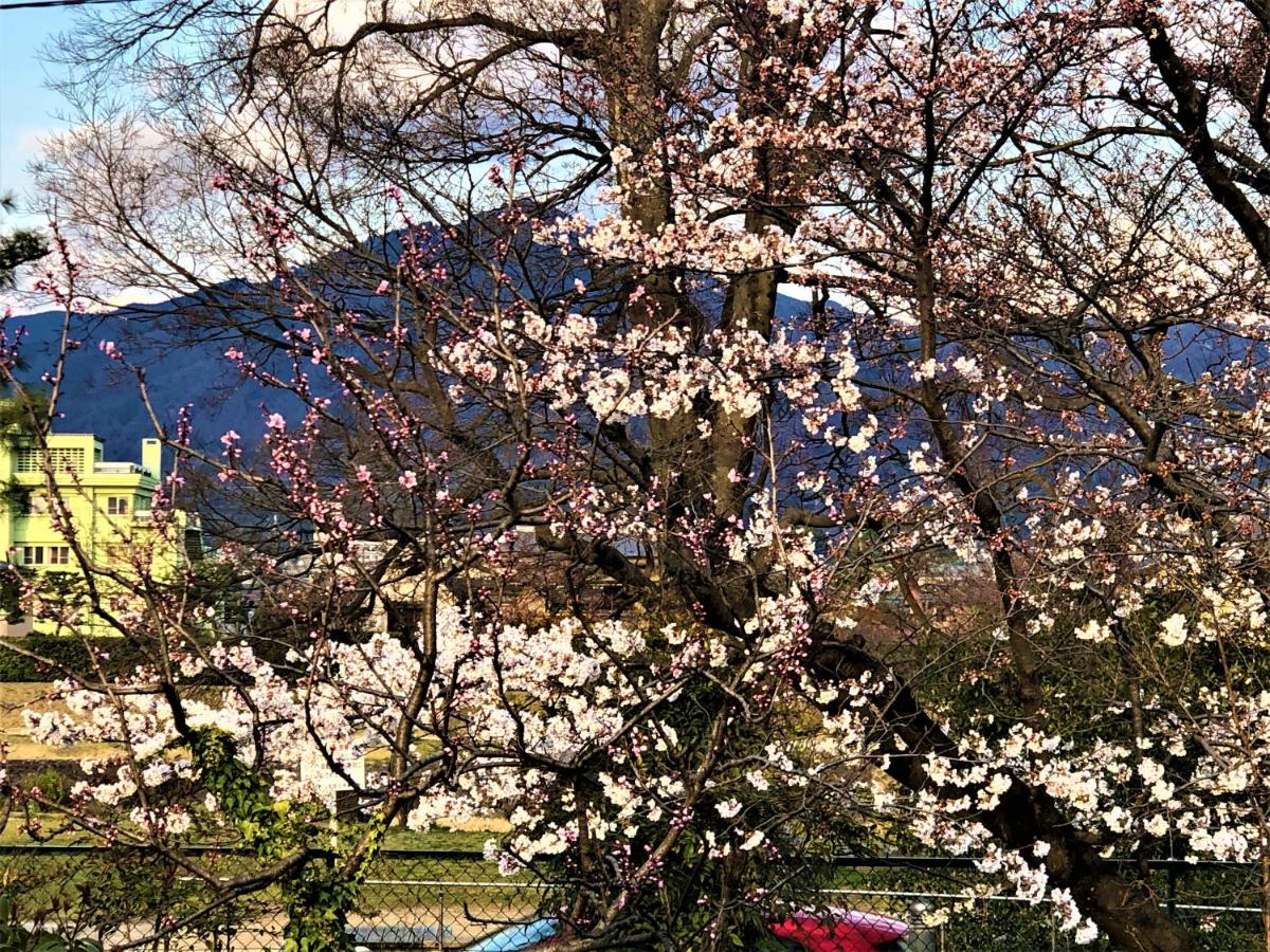 京都京苑kyoen 京町家 21 年最新房價