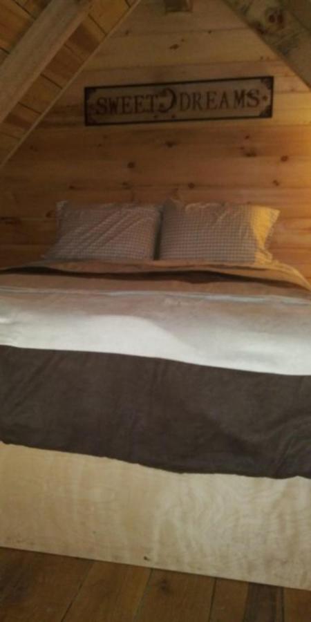 Tranquil Waters Cabin — photo 17