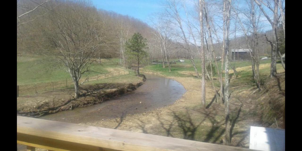 Tranquil Waters Cabin — photo 11
