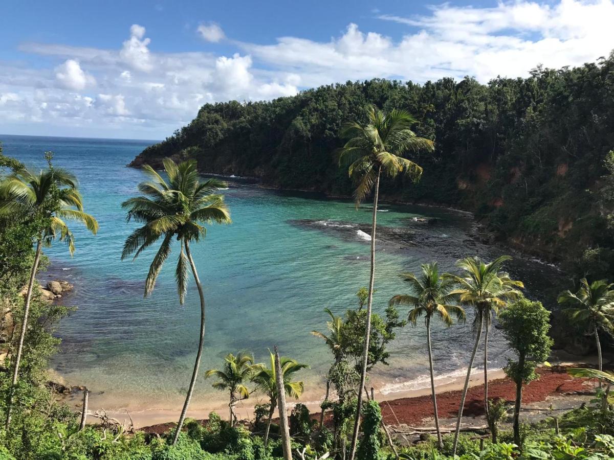 Beach: Oceanic sailing boat - Rodney bay marina
